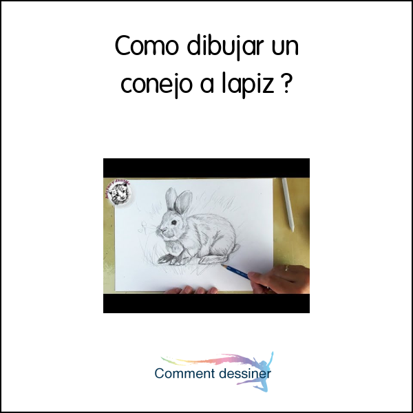 Como dibujar un conejo a lapiz